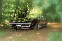 MARTINS RANCH 69 Corvette dreaming 